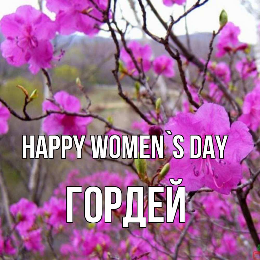 Greetings card с именем, Гордей happy women`s day международный женский день Greetings with text for free download 
